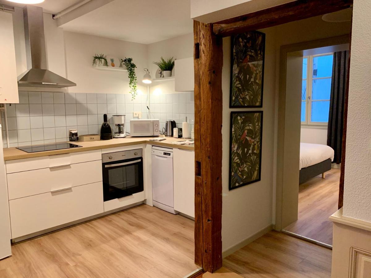 Appartements Des 2 Tetes Colmar Exterior foto